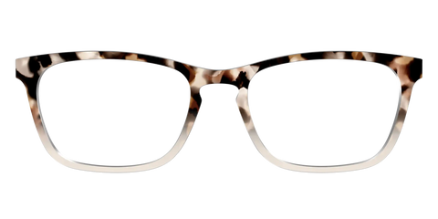 The Vanilla Latte Tortoise