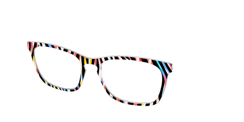 The Vivid Zebra Stripes
