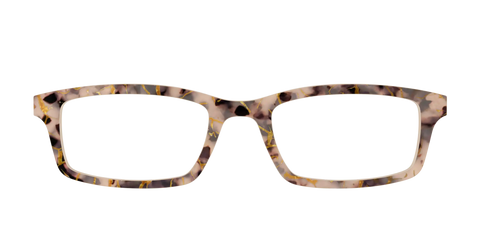 The Almond Tortoise with Gold Streaks