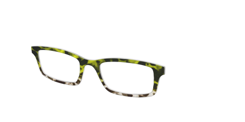 The Avocado to Ivory Tortoise