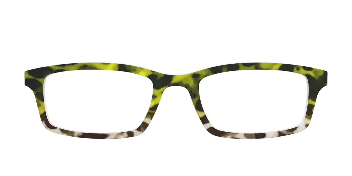 The Avocado to Ivory Tortoise