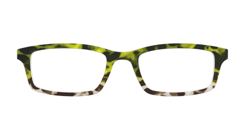 The Avocado to Ivory Tortoise