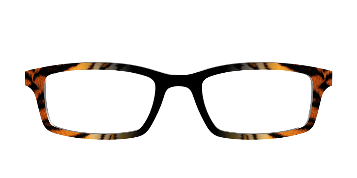 The Bengal Stripes