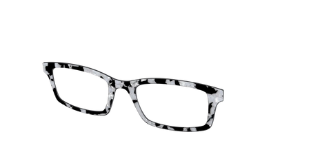 The Black & White Pearl Tortoise