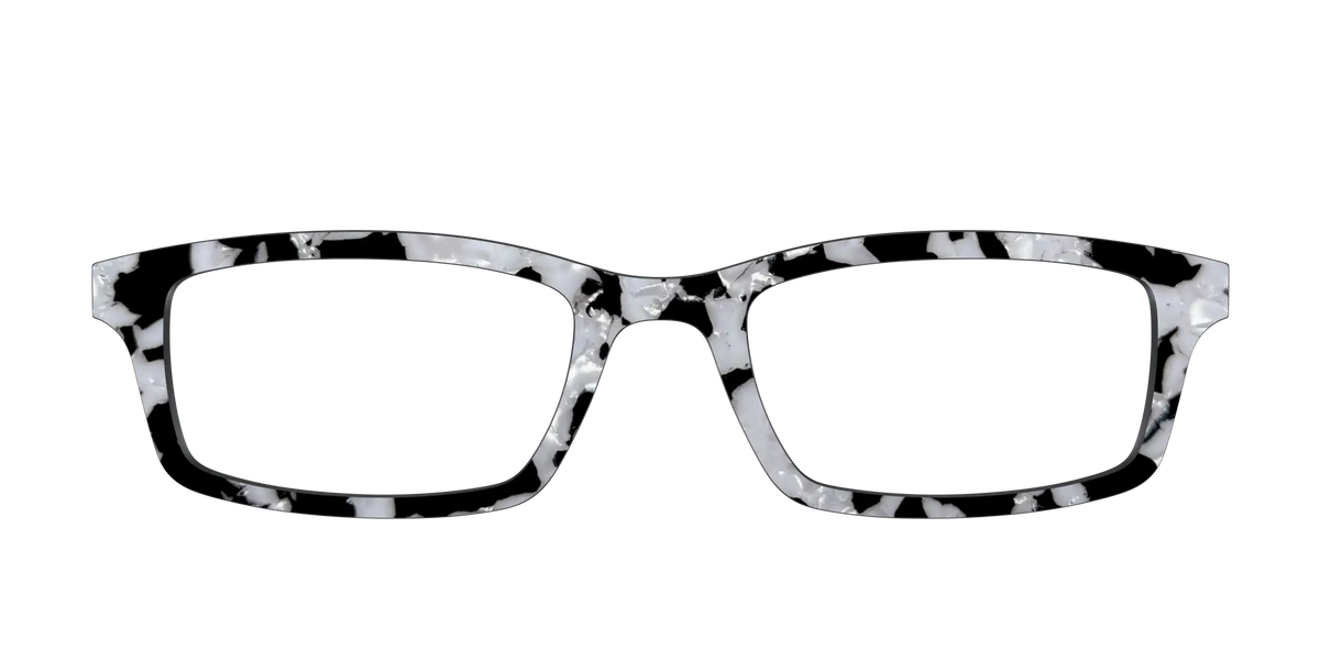 The Black & White Pearl Tortoise