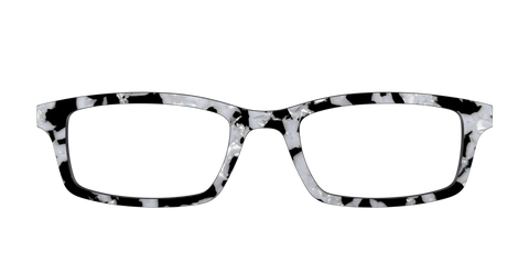 The Black & White Pearl Tortoise