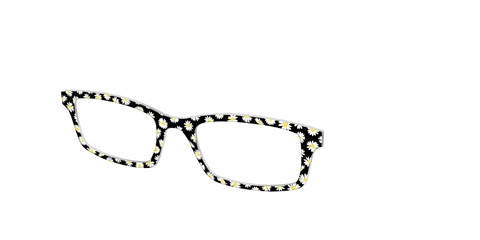 The Black Daisy