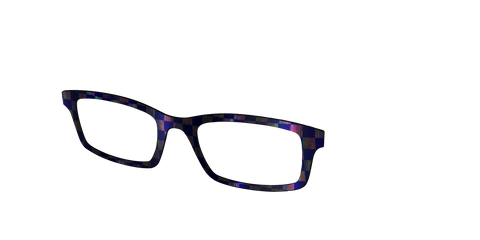 The Black Holographic Check