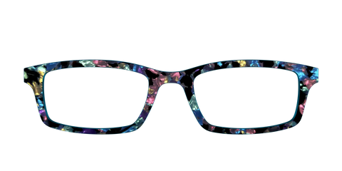 The Black Prismatic Pearl Tortoise