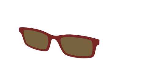 The Polarized Burgundy Sun Top