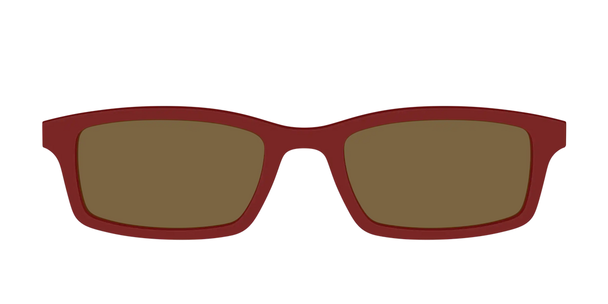 The Polarized Burgundy Sun Top