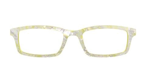 The Buttercup Pearl Tortoise