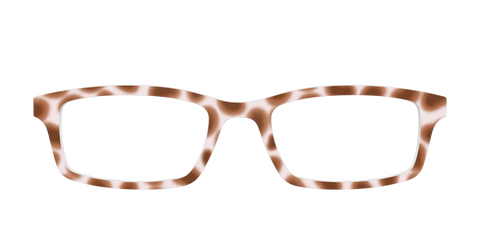 The Caffé Tortoise