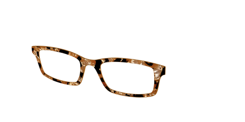 The Caramel Pearl Tortoise