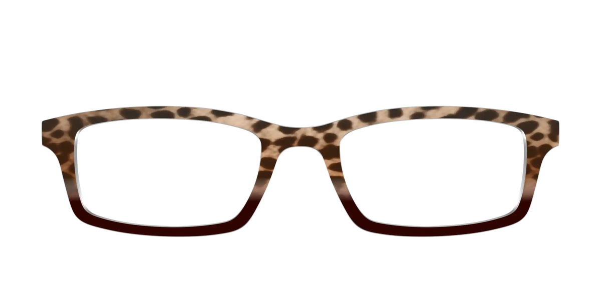 The Jungle Cat Tortoise