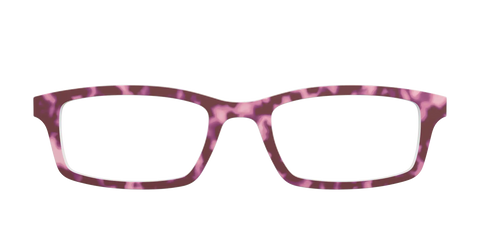 The Maroon Tortoise