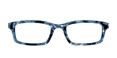 The Midnight Blue Pearl Tortoise
