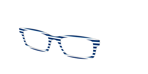 The Navy Stripes