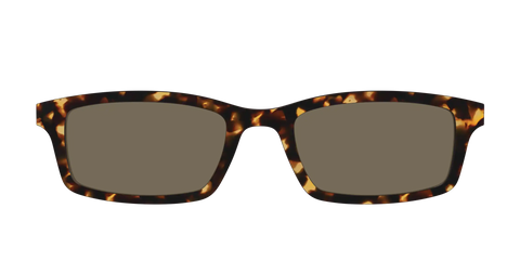 The Non-Polarized Tortoise Sun Top