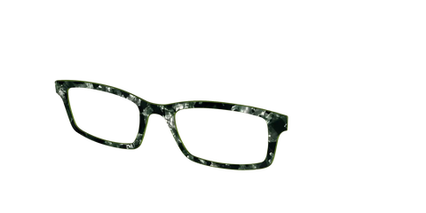 The Olive Pearl Tortoise