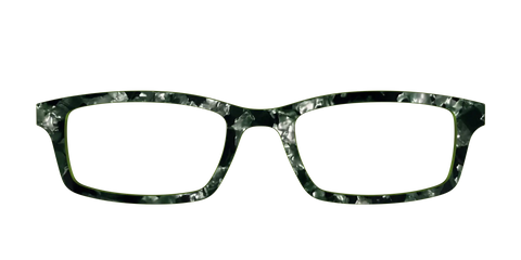 The Olive Pearl Tortoise