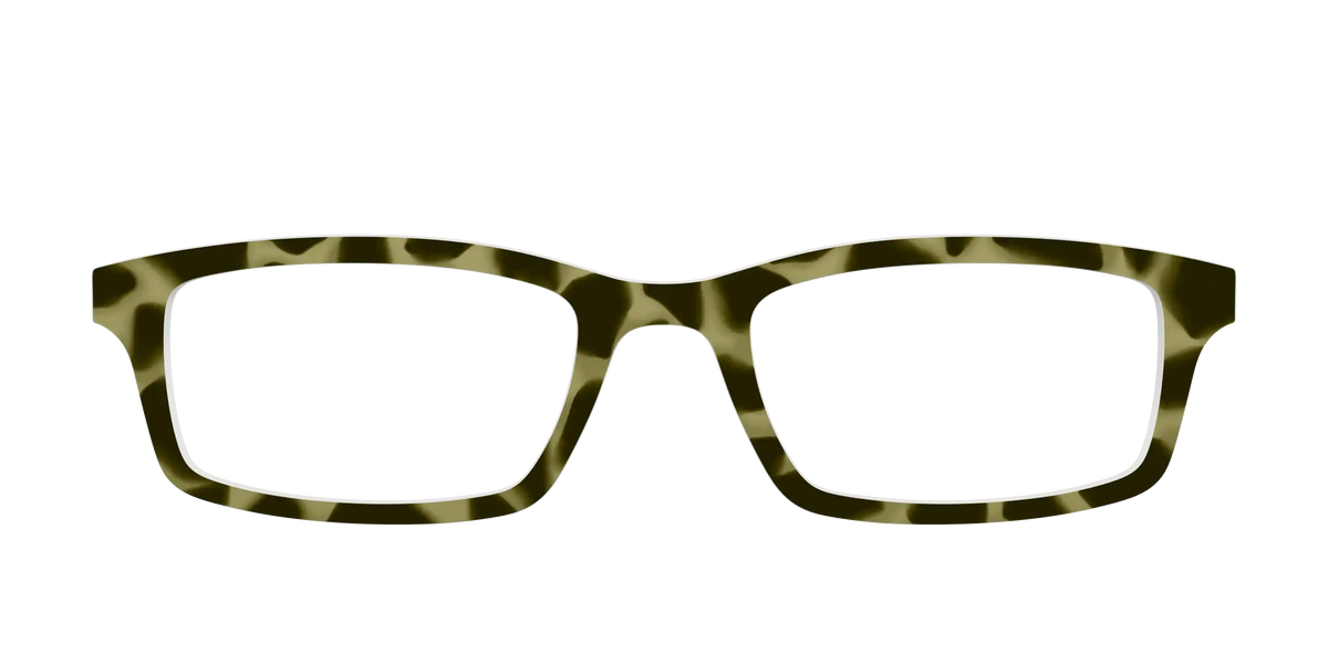 The Olive Tortoise