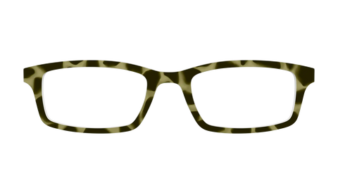 The Olive Tortoise