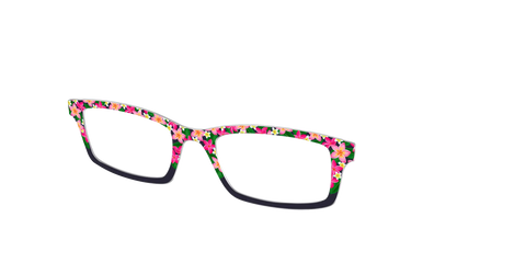 The Plumeria Crown