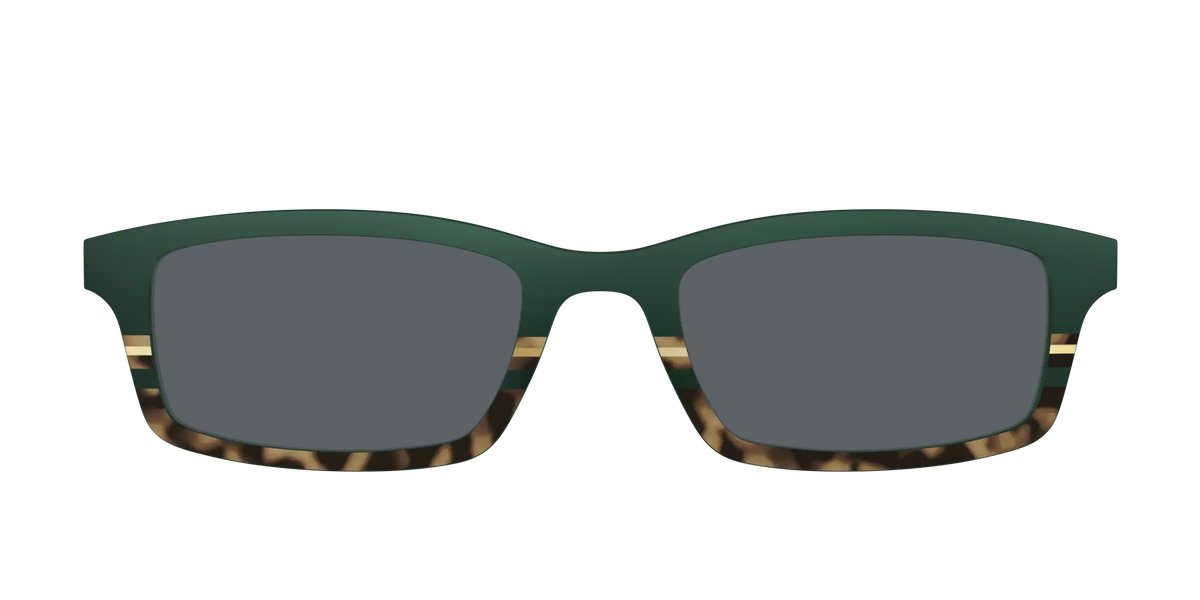 The Polarized Spruce Tortoise Sun Top