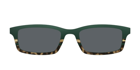 The Polarized Spruce Tortoise Sun Top