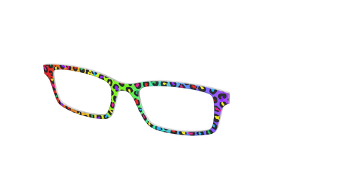 The Rainbow Cheetah