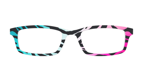 The Rainbow Zebra