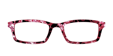 The Raspberry Pearl Tortoise