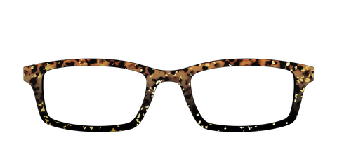 The Rustic Gold Leaf Tortoise