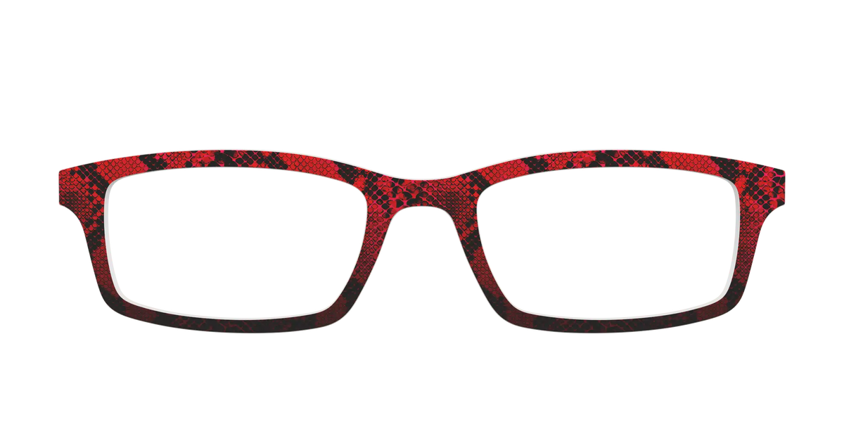 The Statement Snakeskin