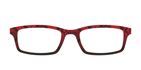 The Statement Snakeskin