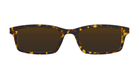 The Polarized Tortoise Sun Top