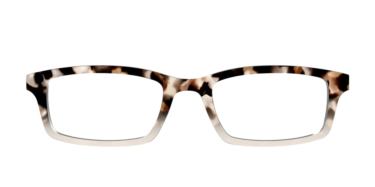 The Vanilla Latte Tortoise