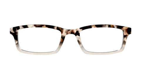 The Vanilla Latte Tortoise