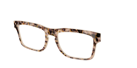 The Almond Tortoise with Gold Streaks