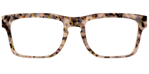 The Almond Tortoise with Gold Streaks