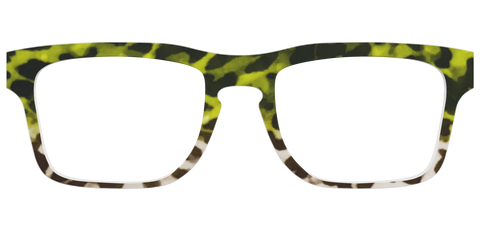 The Avocado to Ivory Tortoise
