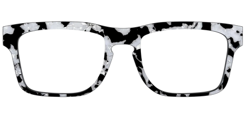 The Black & White Pearl Tortoise