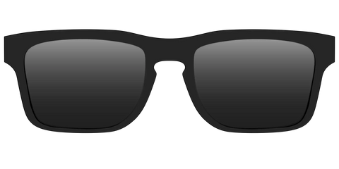 The Polarized Black Sun Top