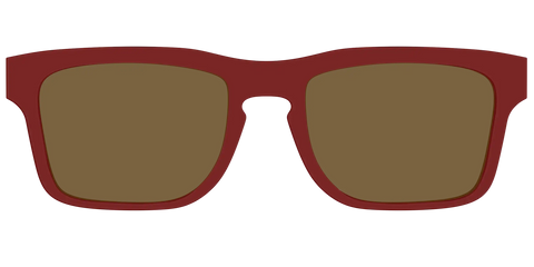The Polarized Burgundy Sun Top