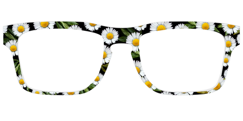 The Delicate Daisies