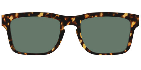 The Non-Polarized Green Tortoise Sun Top