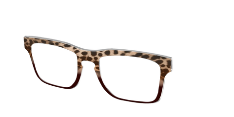 The Jungle Cat Tortoise