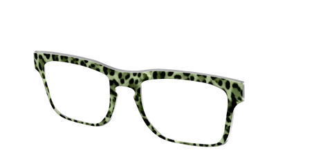 The Lucky Leopard