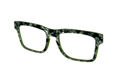 The Olive Pearl Tortoise